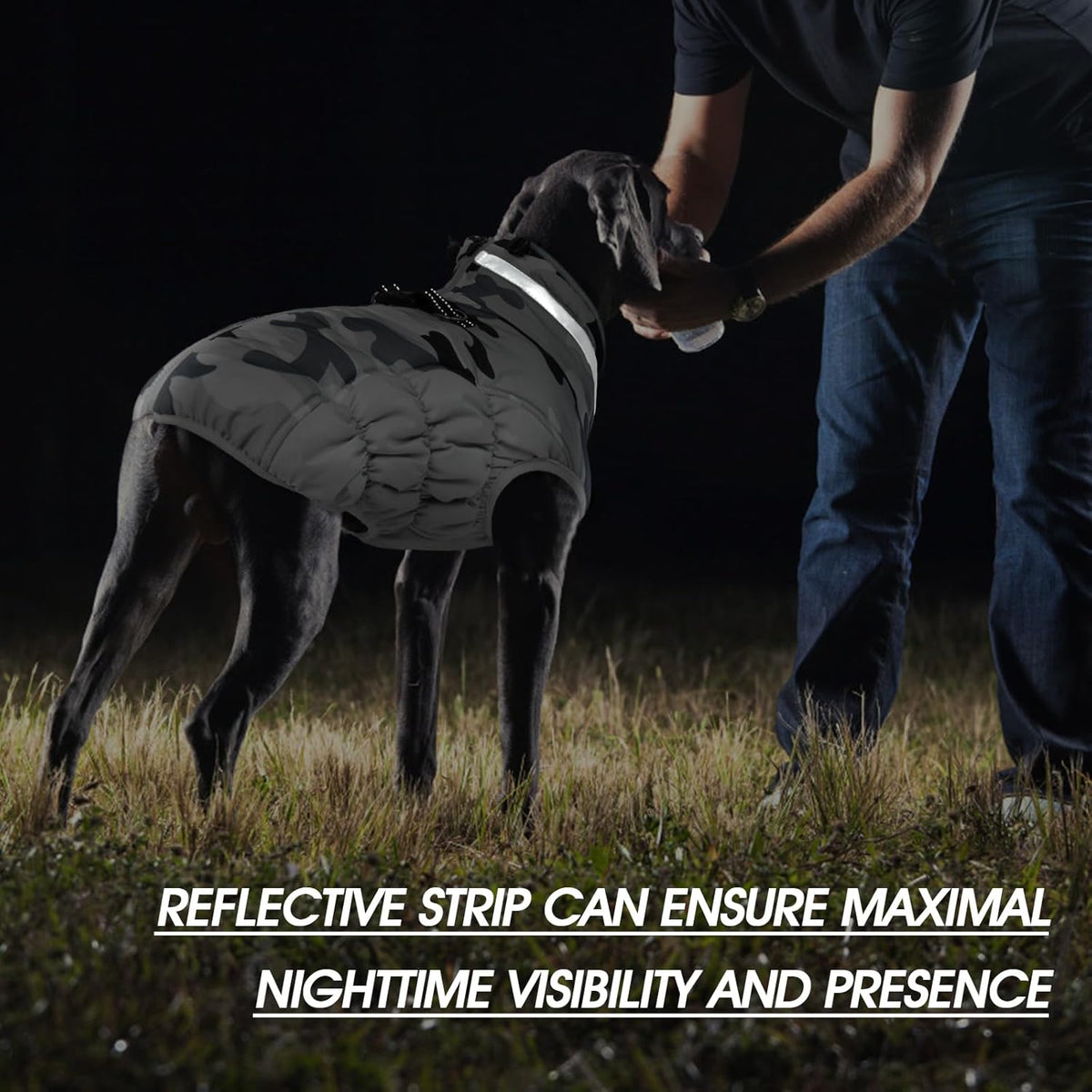 FUAMEY Dog Coat for Small Dogs,Waterproof Dog Winter Jacket with Harness Built in Puppy Cold
