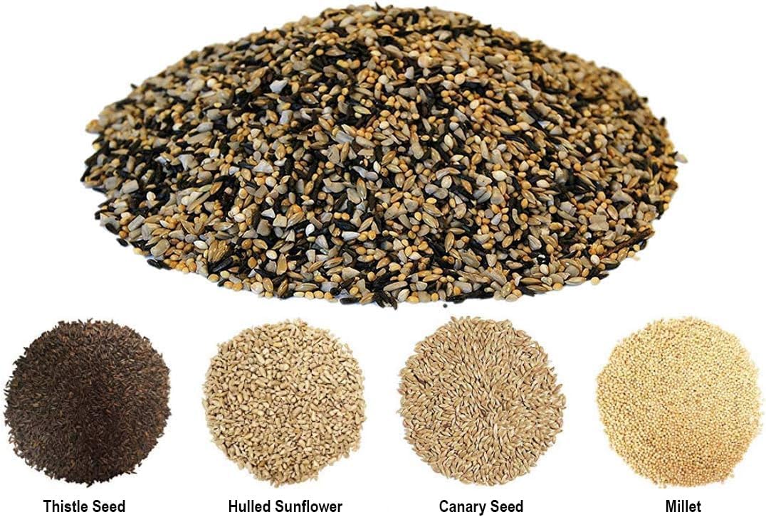 CountryMax Backyard Seeds Finch & Small Songbird Frenzy Wild Bird Seed Mix – 5 lb Bag | Premium