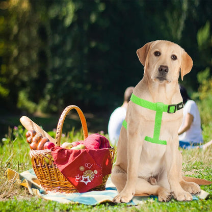 PUPTECK No Pull Dog Harness Soft Adjustable Basic Nylon Step in Puppy Vest Outdoor Walking with ID