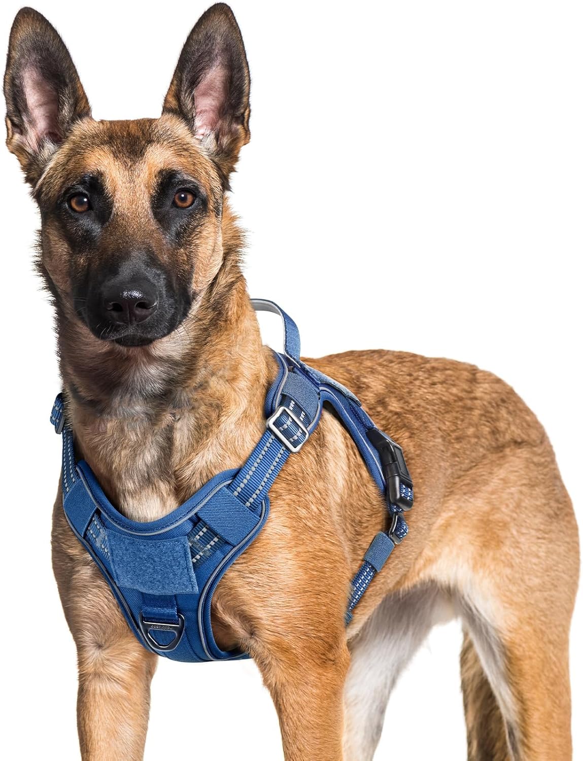 rabbitgoo Dog Harness for Large Dogs No Pull, Tactical Service Pet Vest with Molle and Control
