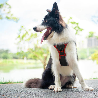 PHOEPET 2019 Upgraded No Pull Dog Harness, Reflective Adjustable Vest, with a Training Handle + 2