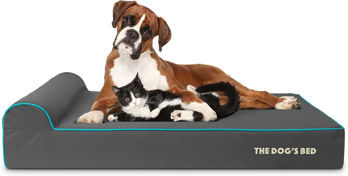 The Dog’s Bed Orthopedic Headrest Dog Bed XL Grey/Blue 46x25, Memory Foam, Pain Relief for