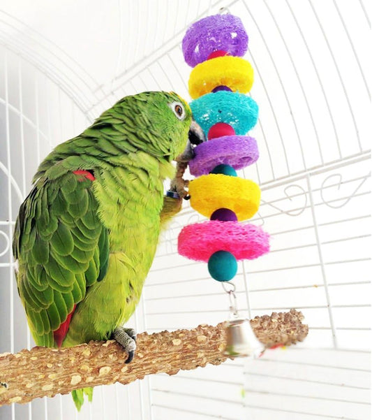 Hypeety Bird Toys Parrot Hanging Chew Toys Natural Colorful Loofah Shred and Preen Swing Bird Bell