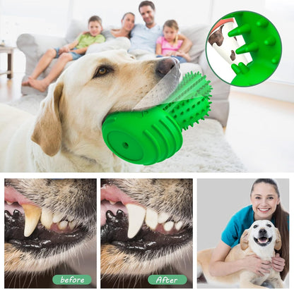 Dog Chew Toys Dog Toothbrush Stick Teeth Cleaning Brush Dental for Medium Large Dog, Puppy