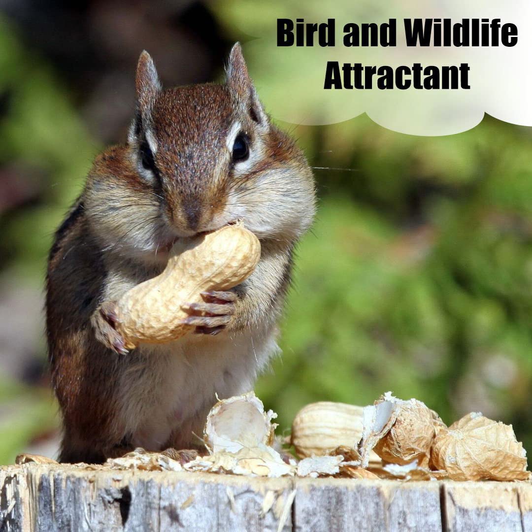 Old Potters Wildlife in-Shell Peanuts for Birds, Squirrels and Wildlife. USA Grown Non-GMO Raw