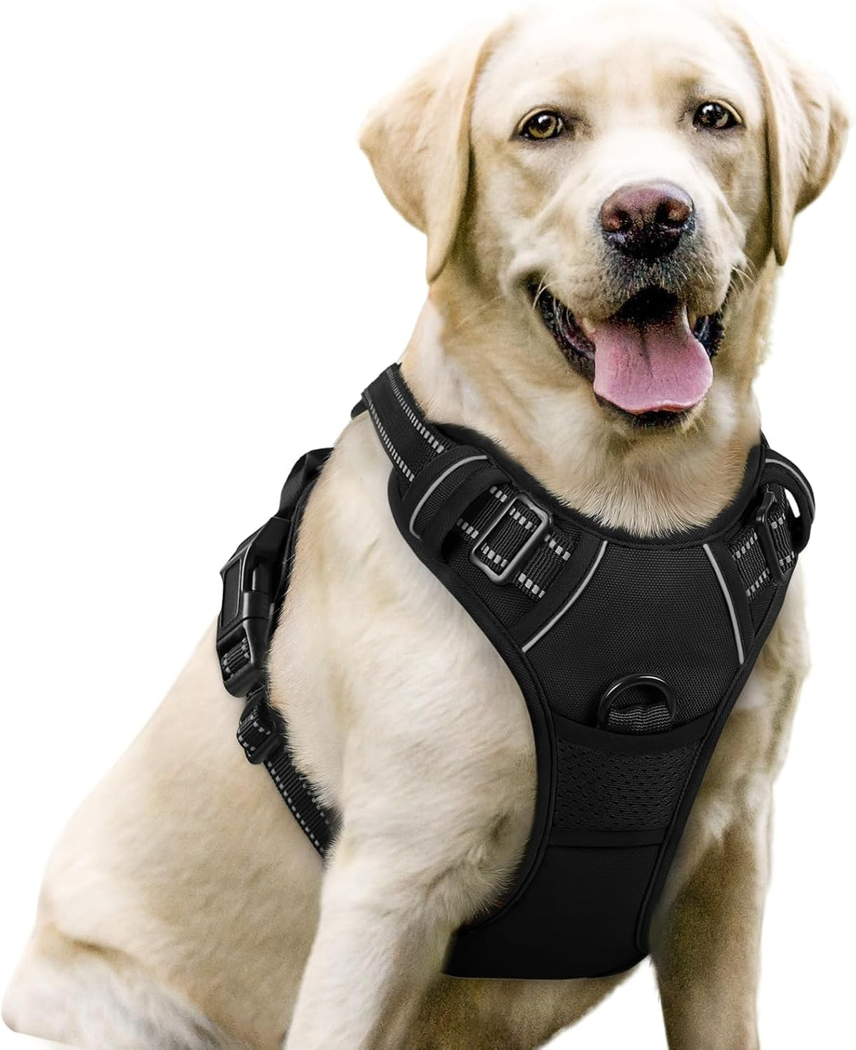 rabbitgoo Dog Harness No Pull with 2 Leash Clips, Adjustable Soft Padded, Reflective Oxford No