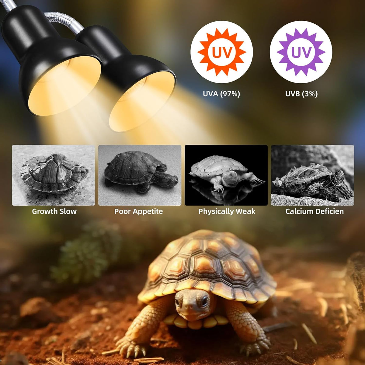 Reptile Heat Lamp, Turtle Lamp with Cycle Timer,Dual-Head UVA UVB, Heat Lamp for Lizard