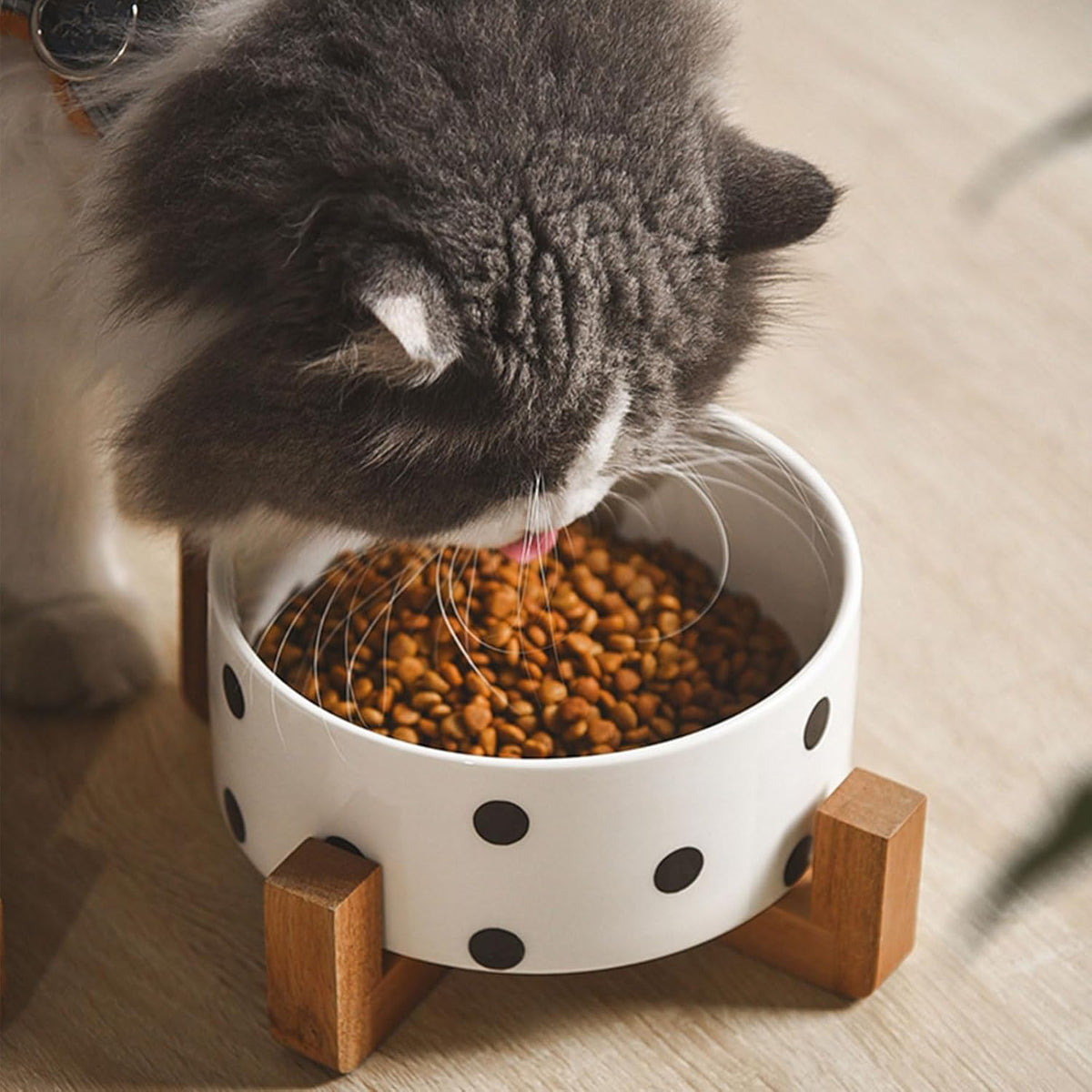 Petygooing Ceramic Dog Bowl Set with Stand, Small Pet Bowls, Anti-Slip Cat & Dog Food and Water