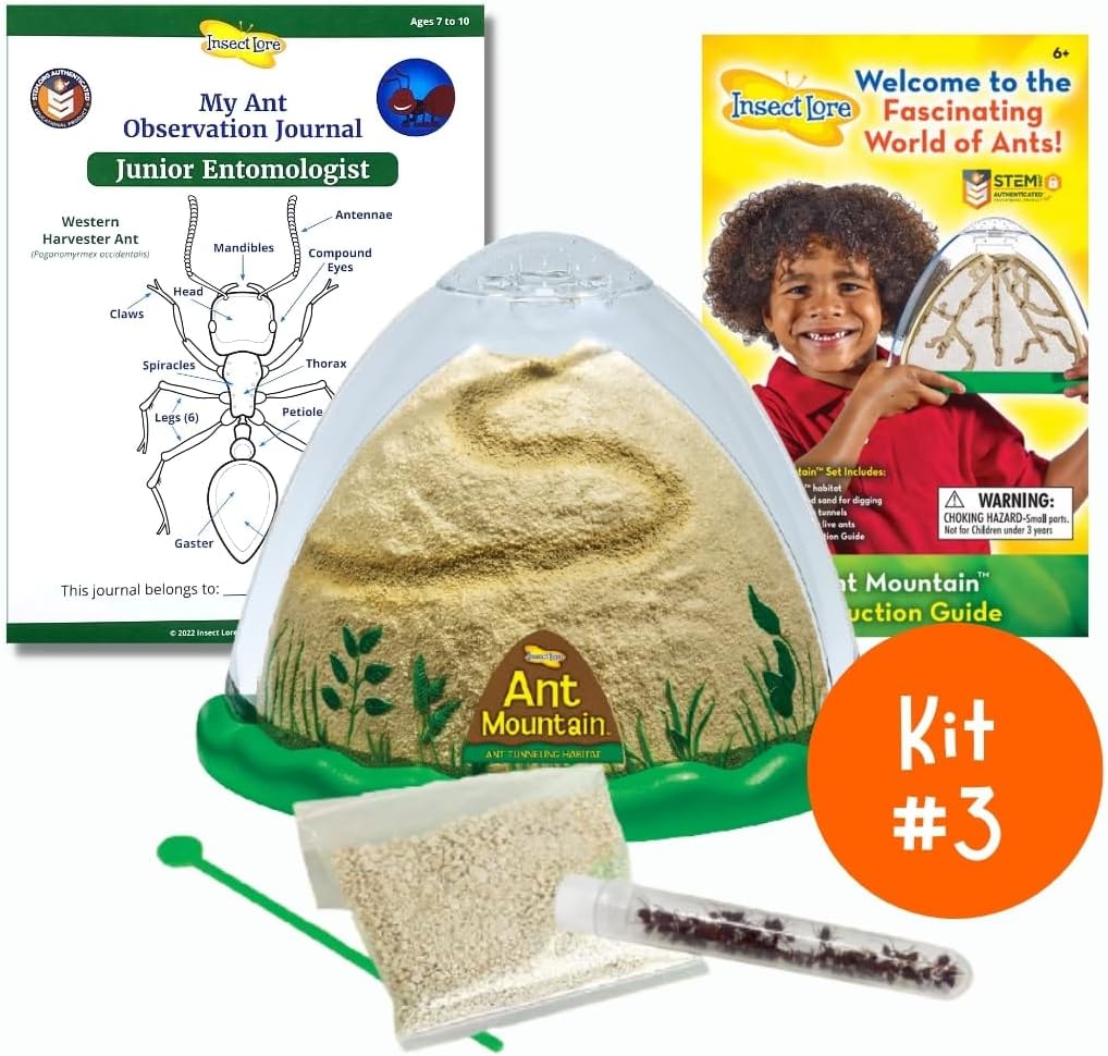 Insect Lore Bug Camp Bundle | Butterfly Kit with 1 Cup Live Caterpillars | Ladybug Land with 1 Tube