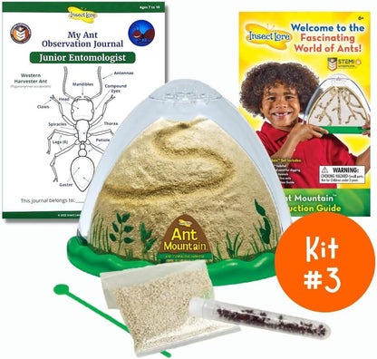 Insect Lore Bug Camp Bundle | Butterfly Kit with 1 Cup Live Caterpillars | Ladybug Land with 1 Tube