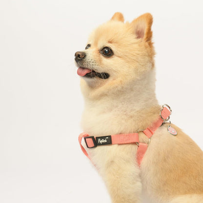 PUPTECK No Pull Dog Harness Soft Adjustable Basic Nylon Step in Puppy Vest Outdoor Walking with ID