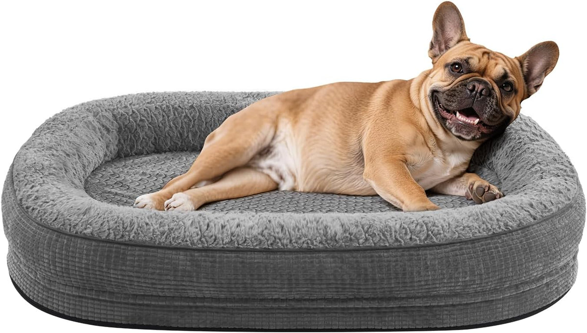 JOEJOY Orthopedic Dog Bed for Medium Dogs, Egg-Crate Memory Foam Pet Bed with Bolster Sides