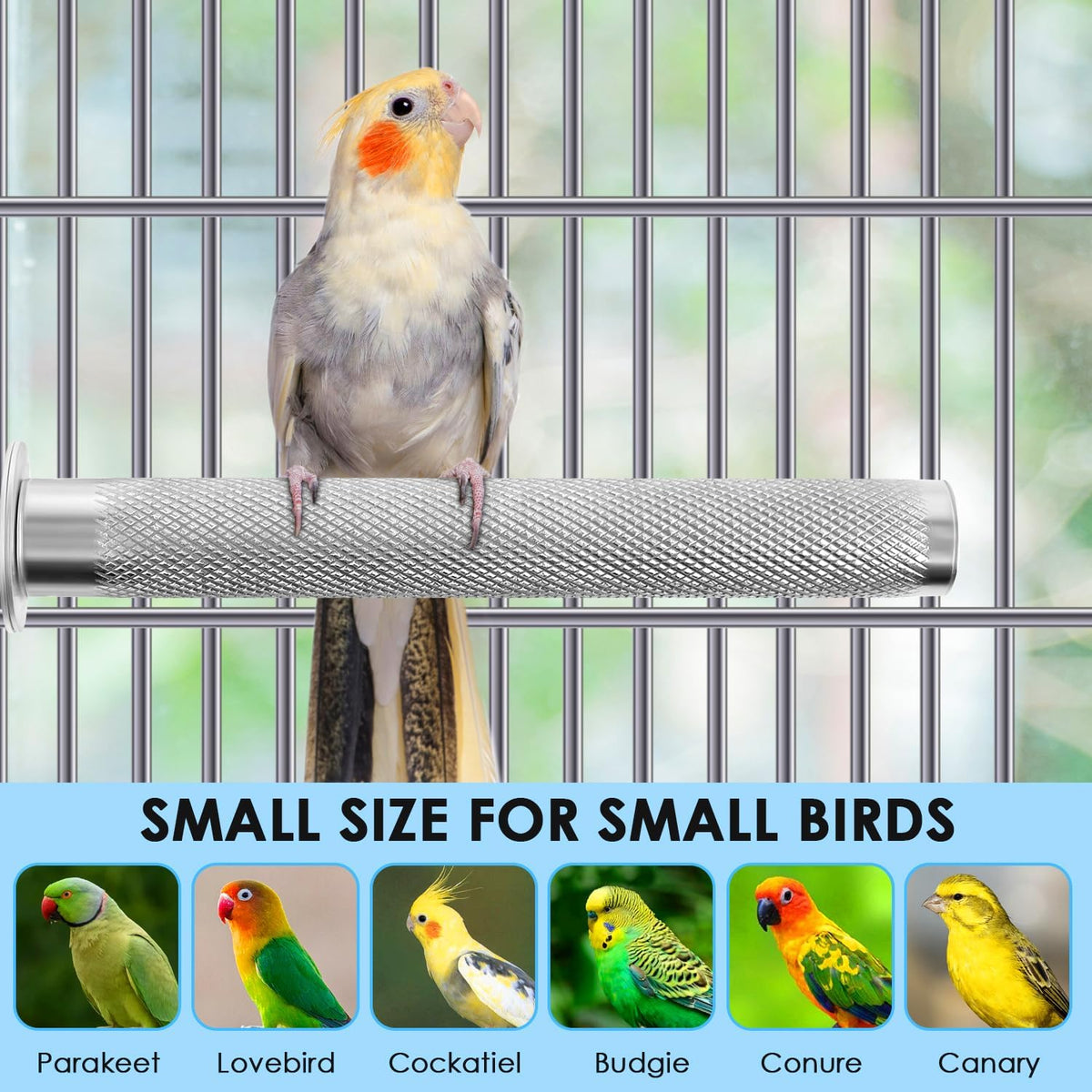 KATUMO Conure Perch - Stainless Steel Bird Stand Rough-surfaced Branch for Small Birds (6 x 0.7