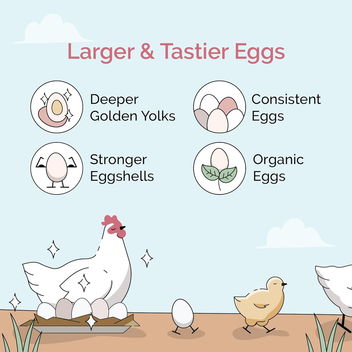 Chicken Grit for Layer & Grower Chickens Age 8-20+ Weeks - 100% Natural Mineral Chicken Grit