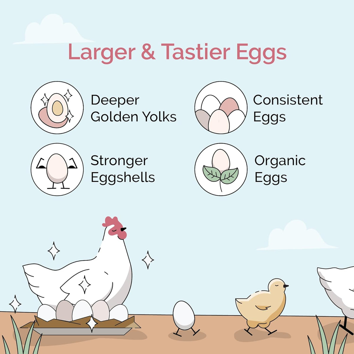 Chicken Grit for Layer & Grower Chickens Age 8-20+ Weeks - 100% Natural Mineral Chicken Grit