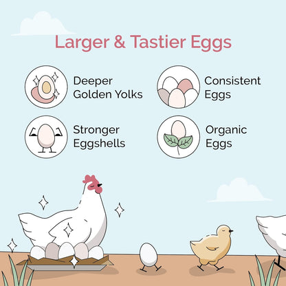 Chicken Grit for Layer & Grower Chickens Age 8-20+ Weeks - 100% Natural Mineral Chicken Grit