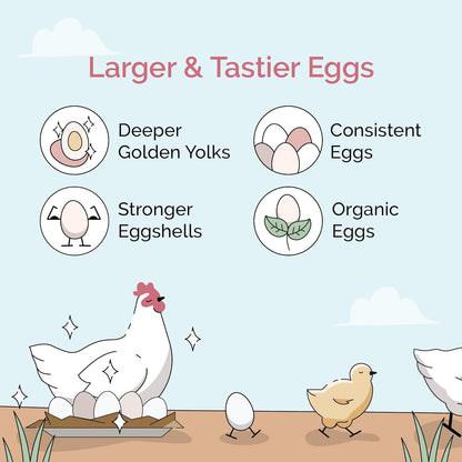 Chick Grit for Baby Chicks - Chickens Age 0-8 Weeks, 100% Natural Mineral Chick Grit Quartzite