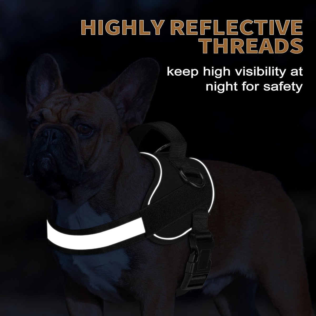 Haapaw Essential Dog Harness, No Pull Pet Vest with 3 Leash Clips, No Choke, Reflective, Adjustable