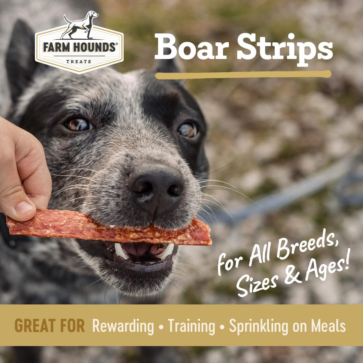 Farm Hounds - Boar Strips - Premium Natural Jerky for Dogs - from 100% Humanely Raised Boar