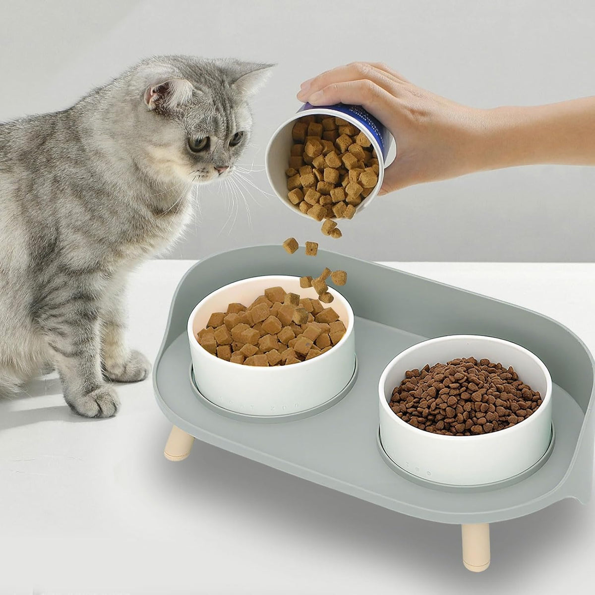 Elevated Dog Bowls Set, Ceramic Pet Food & Water Bowls with Non-Slip Stand, No Spill Design for