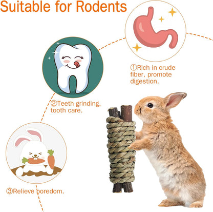 Fhiny 12 PCS Guinea Pigs Chew Toys, Natural Apple Branch Seagrass Molar Sticks for Teeth Bunny Chew