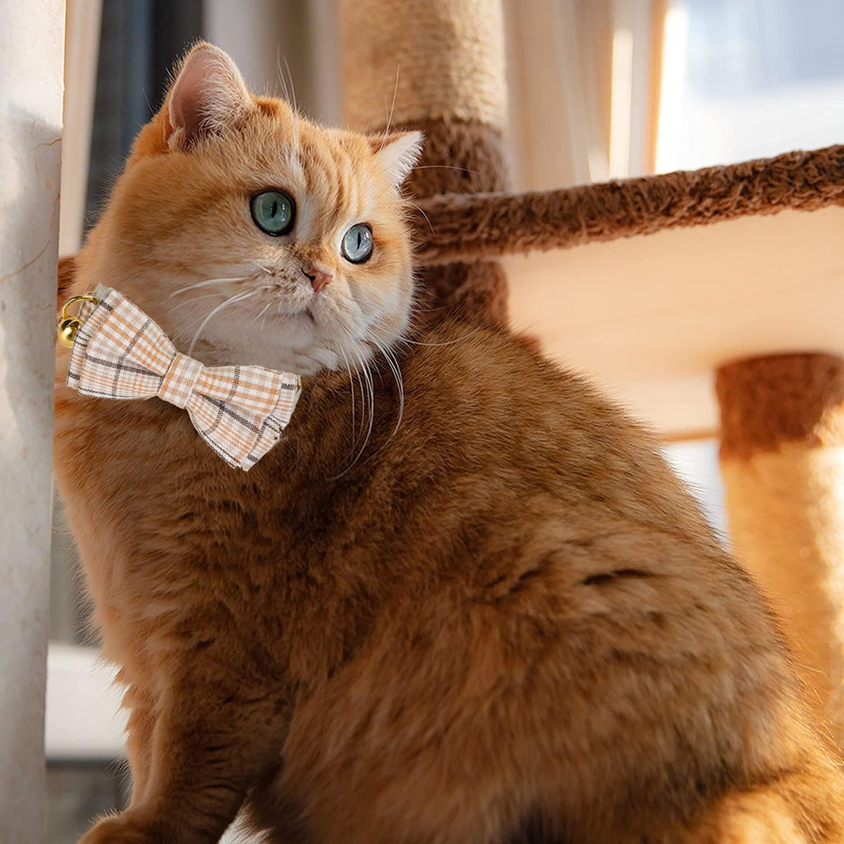 2 Pack Soft Cotton Cat Collars with Bowtie and Bell Breakaway Plaid Cat Kitten Collar(Beige and
