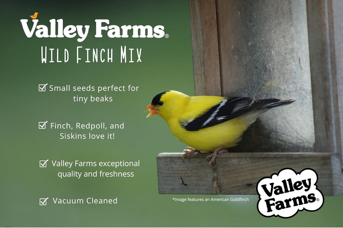 Valley Farms Wild Finch Mix 4 LB 2-Pack (8 LB Total) Wild Bird Food for Outside Feeders, Wild Bird