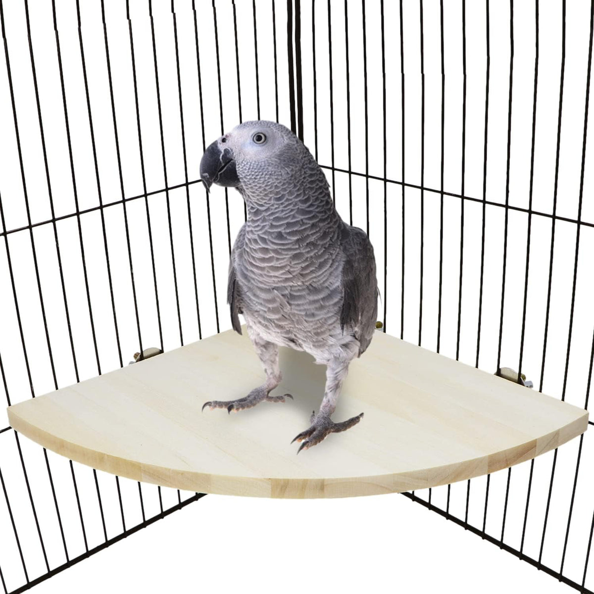 Wontee Bird Perch Stand 2 Pack Wooden Platform Corner Ledge for Budgies Cockatiels Conures African