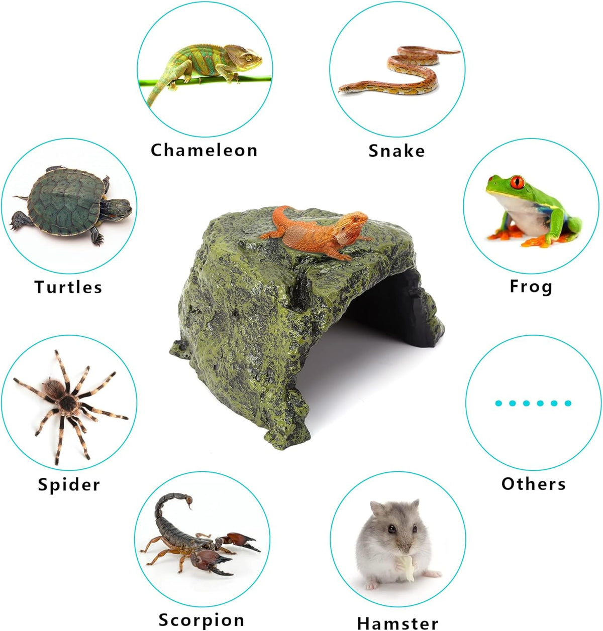 Reptile Rock Hide Cave - World 9.99 Mall Reptile Rock Hide Habitat Decoration|Natural,Non-Toxic