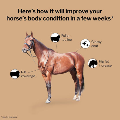 Formula 707 Weight Gain Crumble Equine Supplement, 7 lb Bag – Palatable, Calorie-Rich Nutritional