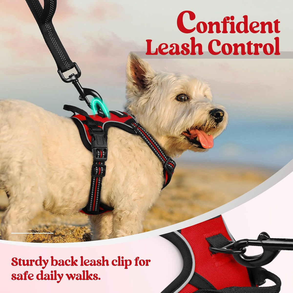 rabbitgoo Dog Harness No Pull with 2 Leash Clips, Adjustable Soft Padded, Reflective Oxford No