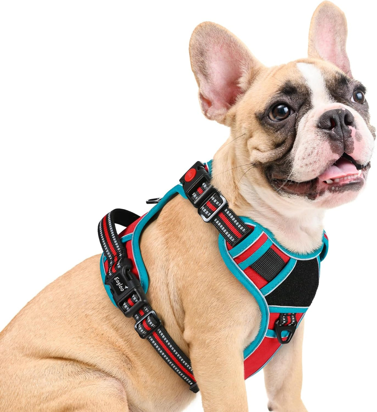 Eagloo Dog Harness Medium Sized, Easy Wearing with 3 Buckles, Adjustable No Pull Pet Harness with 2