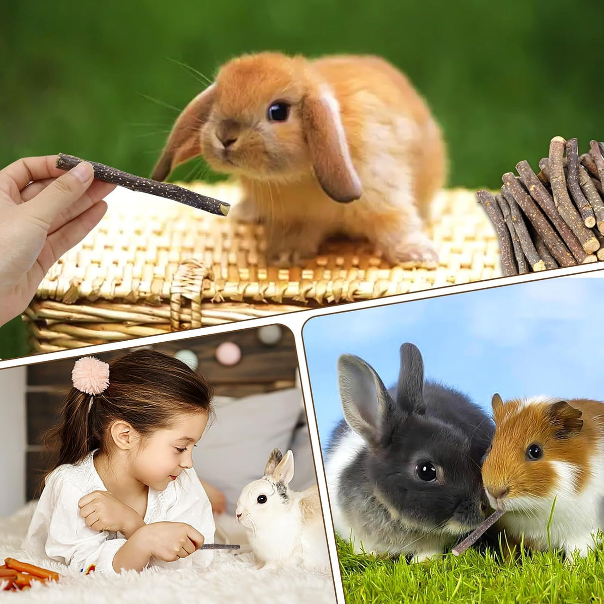 900g/2lb Small Apple Sticks Animals Molar Wood Treats Toys for Rabbits Chinchillas Guinea Pig