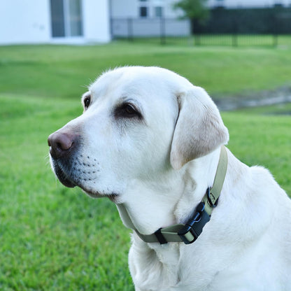 Dogline Biothane Waterproof Dog Collar with Quick Release Buckle Strong Coated Nylon Webbing with