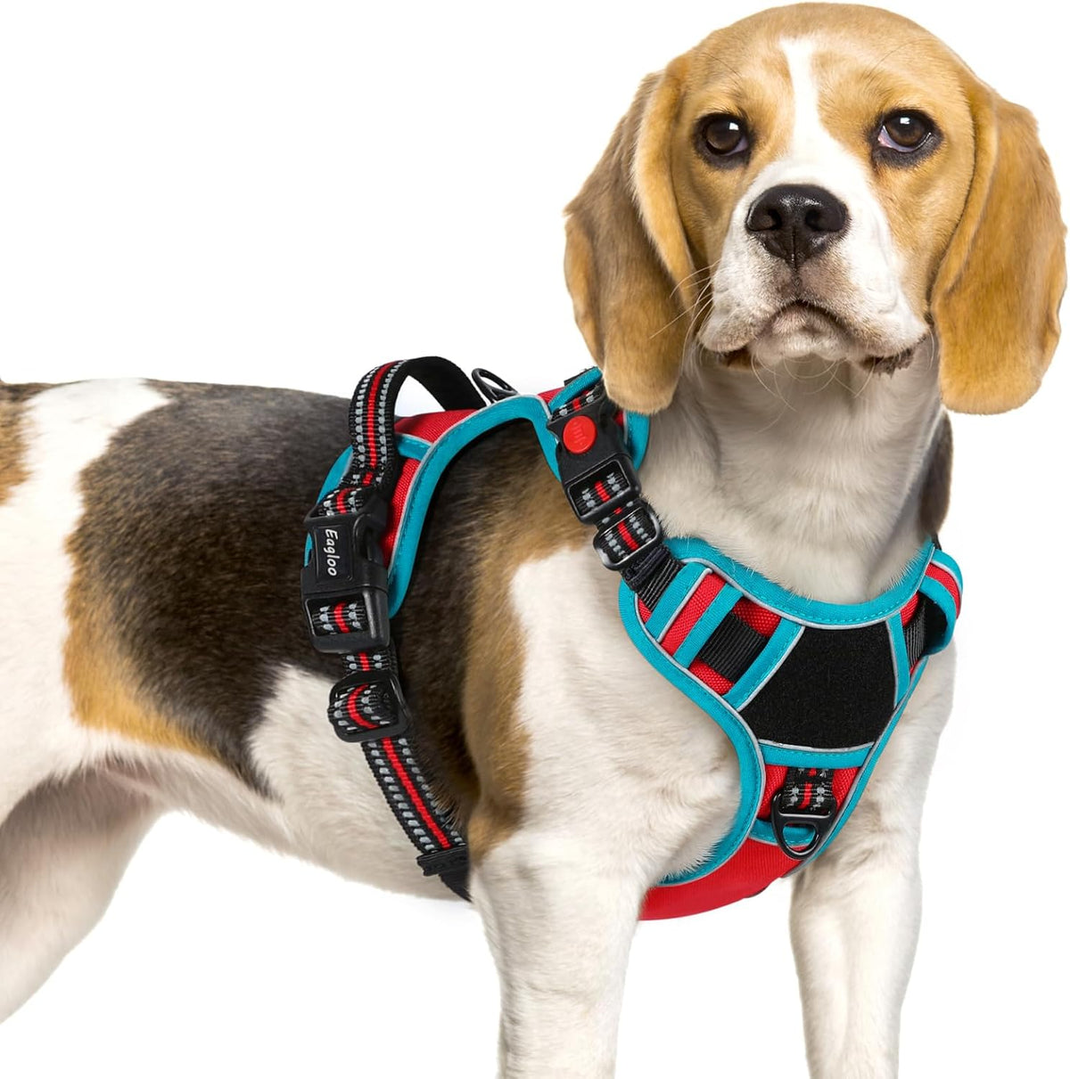 Eagloo Dog Harness Small Sized, Easy Wearing with 3 Buckles, Adjustable No Pull Pet Harness with 2