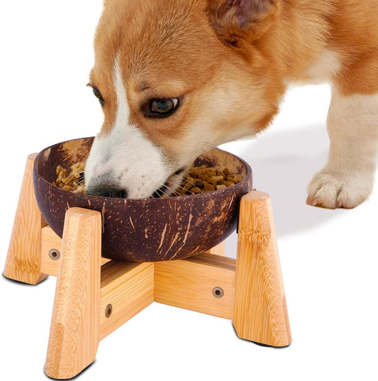 Raised Dog Bowl for Small Dog - Elevated, Ants-Off Stand, Real Coco Bowl, Height 5-inch, 33-oz Dish