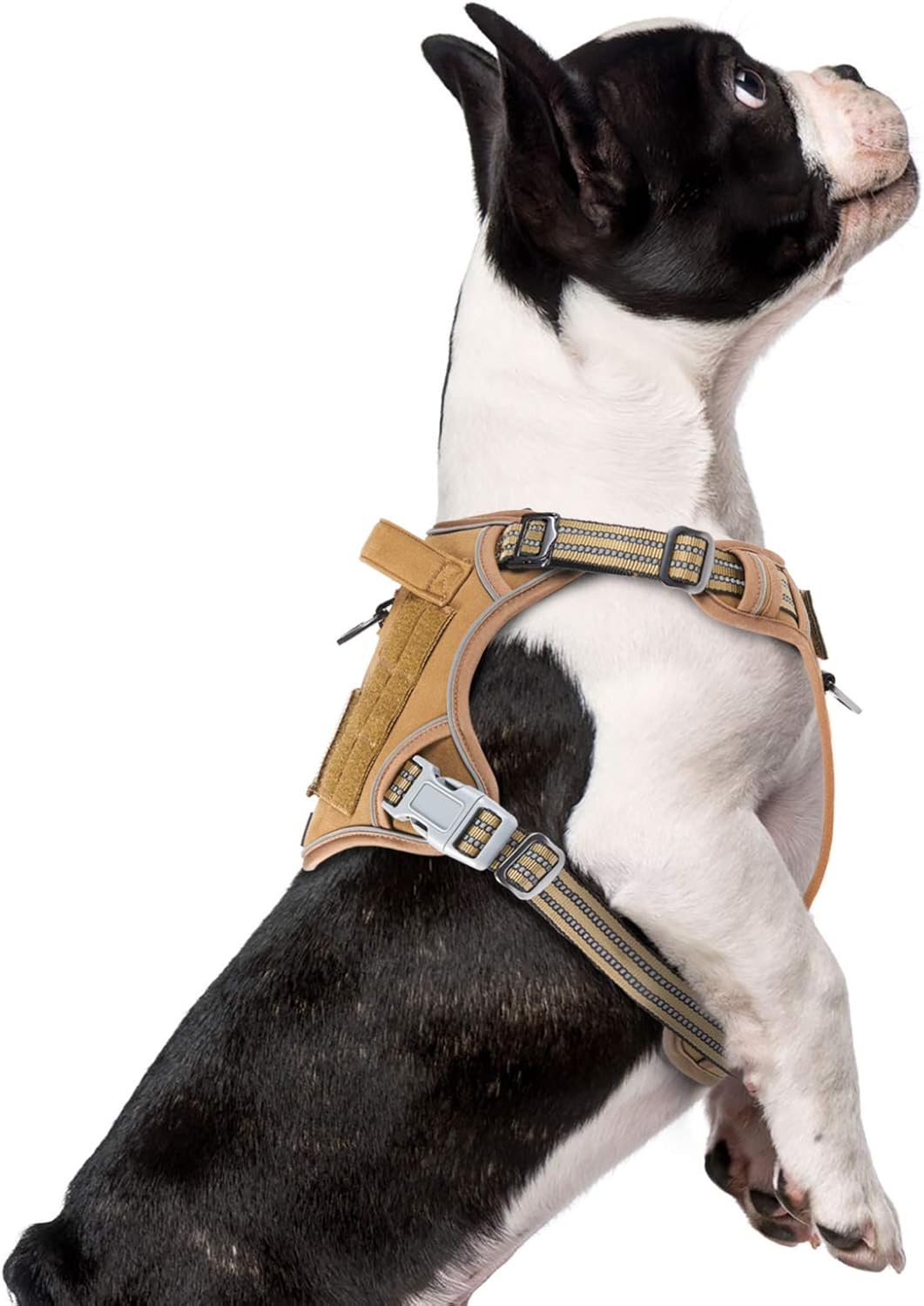 BUMBIN Tactical Dog Harness for Small Dogs No Pull, Famous TIK Tok No Pull Puppy Harness, Fit Smart