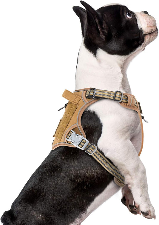 BUMBIN Tactical Dog Harness for Small Dogs No Pull, Famous TIK Tok No Pull Puppy Harness, Fit Smart