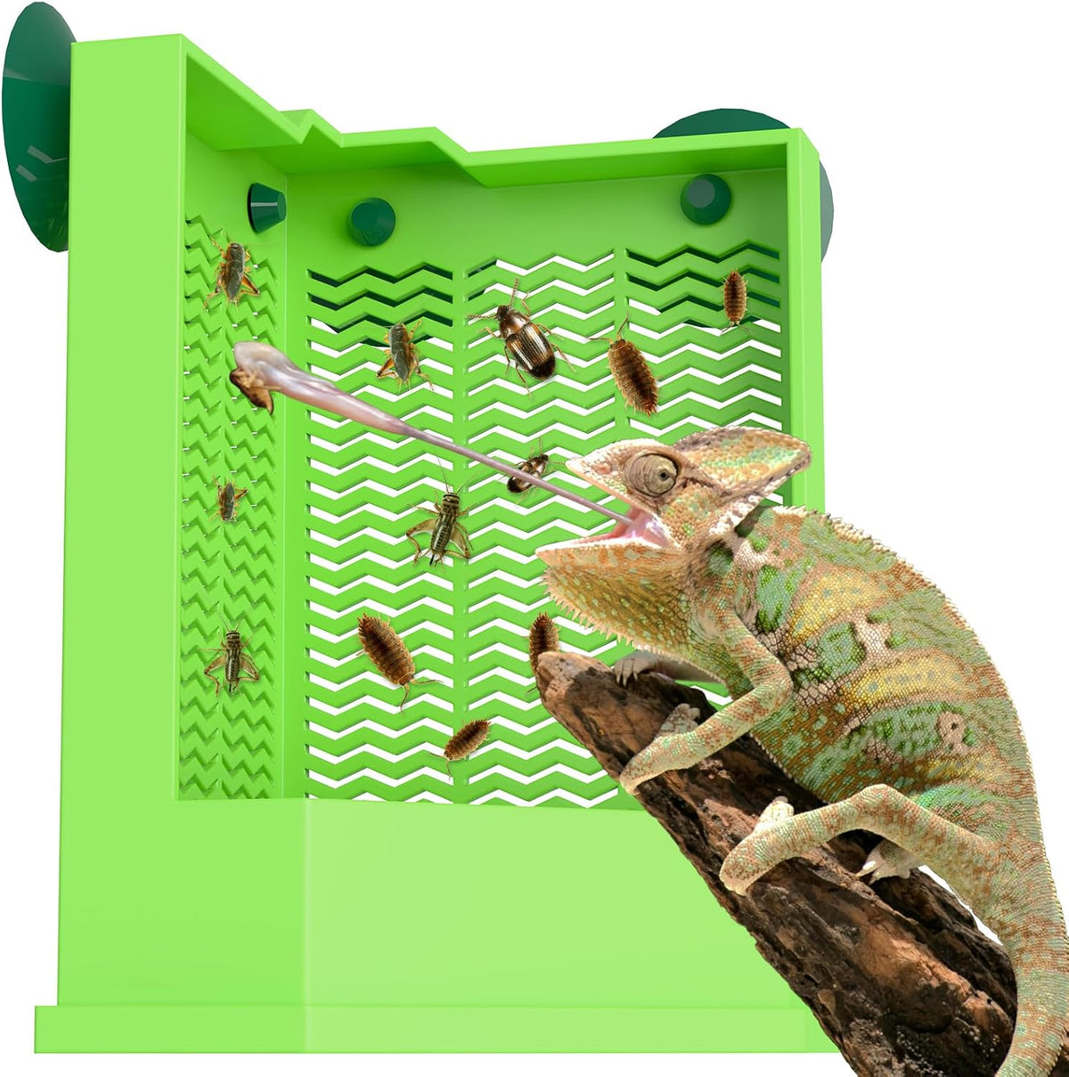 Pawfly Reptile Feeder Bowl - Escape-Proof Corner Hunting Dish, Wall-Mounted Insect Feeder for