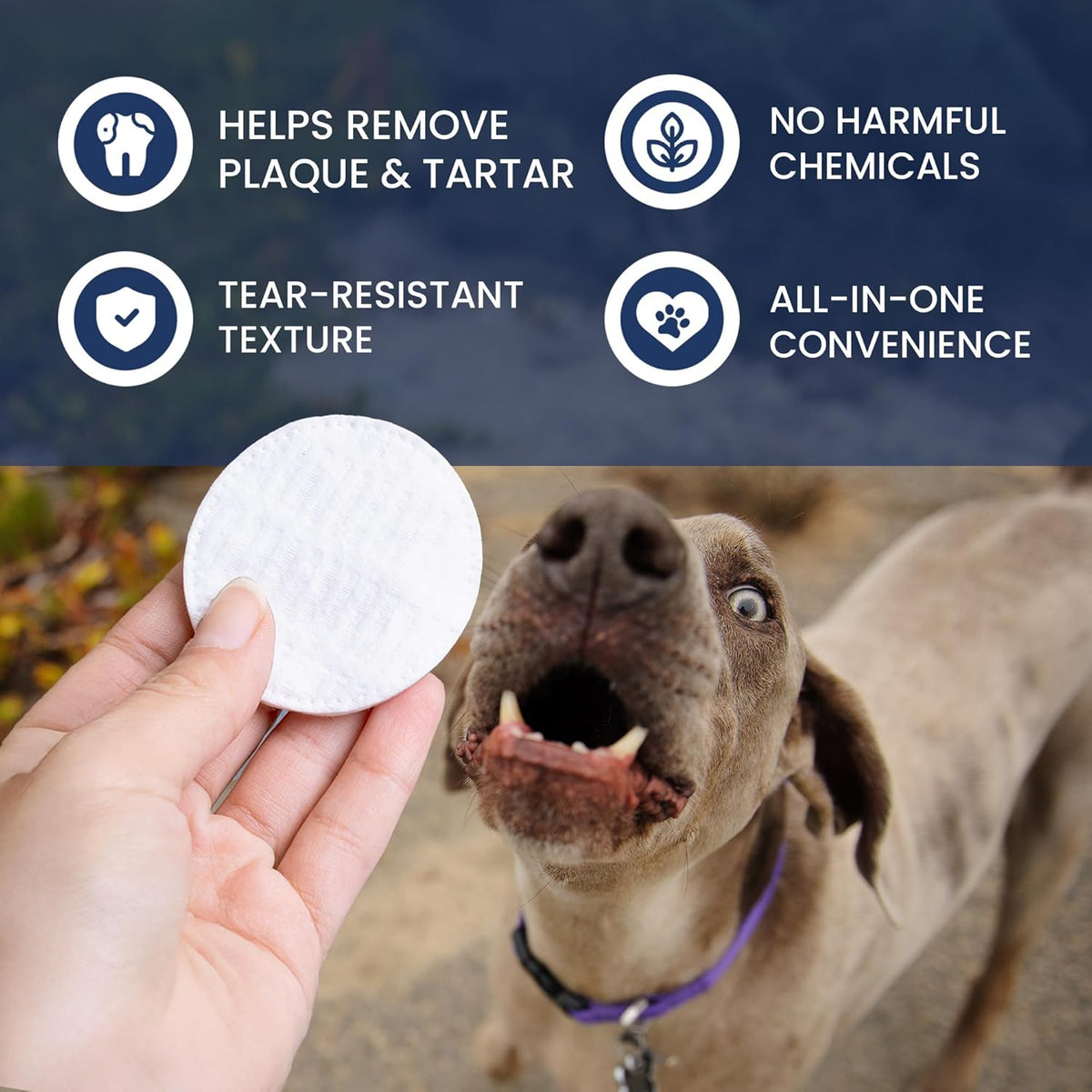 Rad Health Dog Dental Wipes - 100ct Pet Dental Finger Wipes, Easy No-Brush Teeth Cleaning, Removes