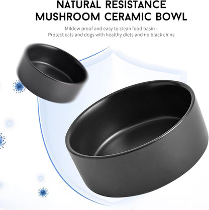 Black Ceramic Dog & Cat Bowl Set – 13.5 OZ with Wooden Stand, Non-Slip, Elevated Design for Small