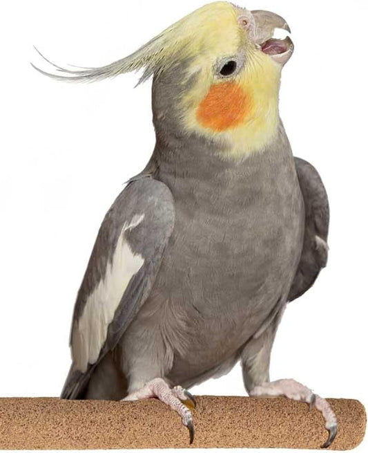 Super Bird Creations SB1152 Sure-Grip Grooming Perch for Small/Medium Birds - Enriches Beak and