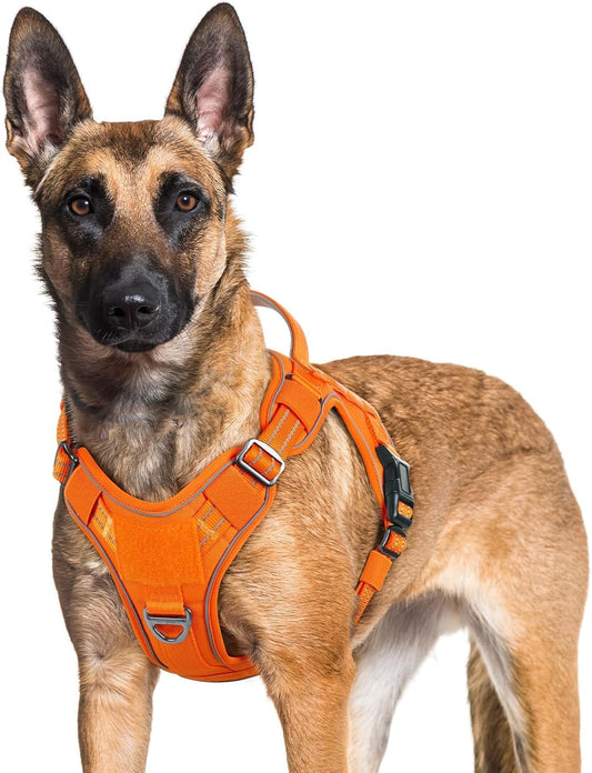 rabbitgoo Dog Harness for Large Dogs No Pull, Tactical Service Pet Vest with Molle and Control