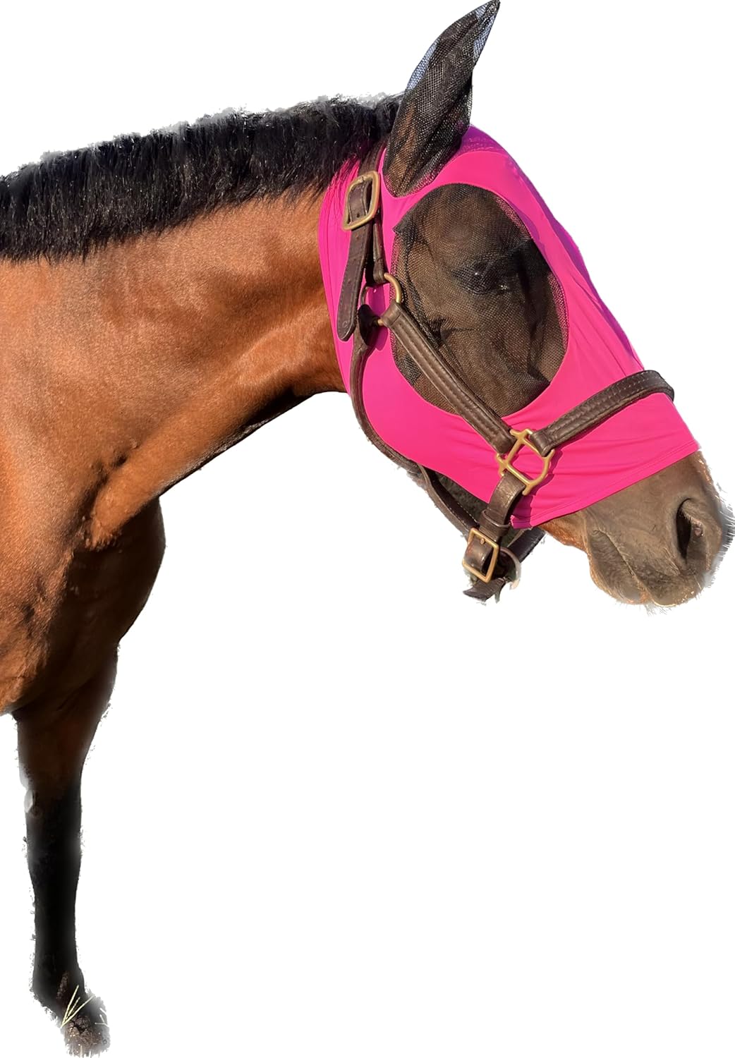 Horse Fly Mask - Arab Equine Fly Mask with Full Coverage for Eye & Ear - Stretchable, UV & Sun