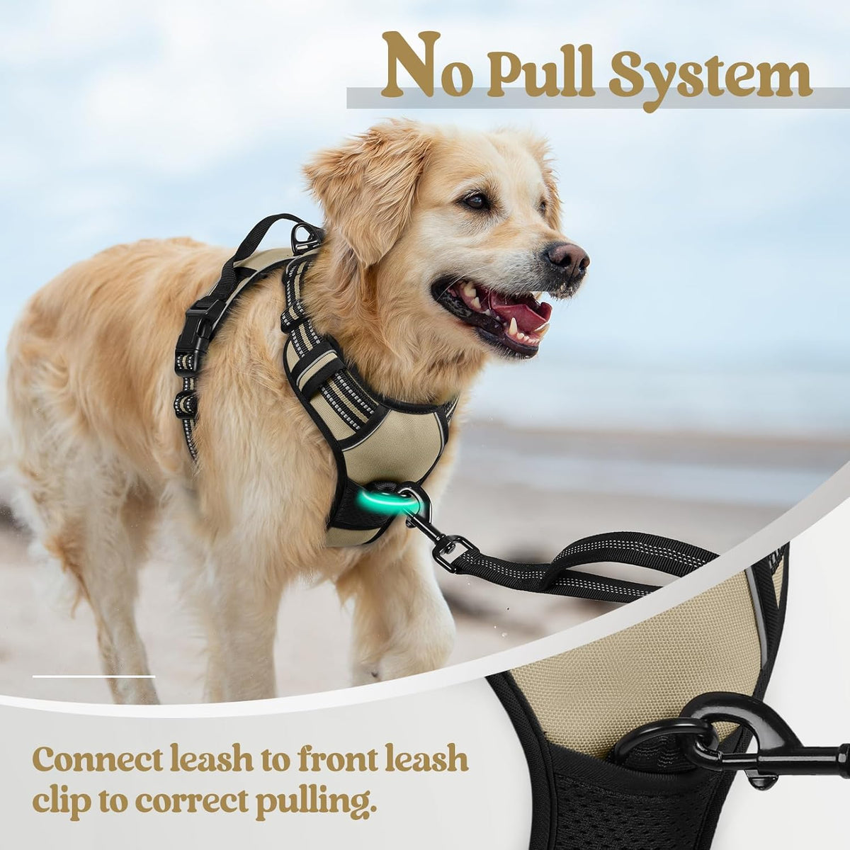 rabbitgoo Dog Harness No Pull with 2 Leash Clips, Adjustable Soft Padded, Reflective Oxford No