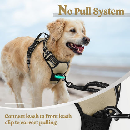 rabbitgoo Dog Harness No Pull with 2 Leash Clips, Adjustable Soft Padded, Reflective Oxford No