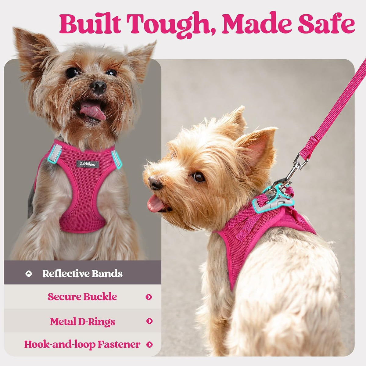 rabbitgoo Dog Harness Small Sized and Leash Set, Step in Soft Light Puppy Vest, Breathable Mesh Pet