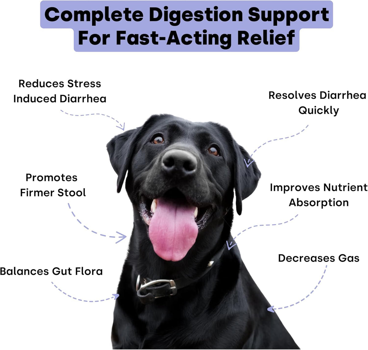 Kayode Ultimate Digestion. Fast Facting Anti Diarrhea for Dogs. Dog Fart Remedy & Dog Gas Relief.