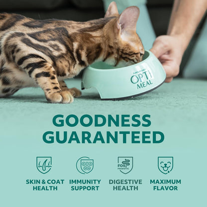 Optimeal Grain-Free Wet Cat Food – Shrimp & Salmon Recipe, High Protein & Moisture Rich Indoor