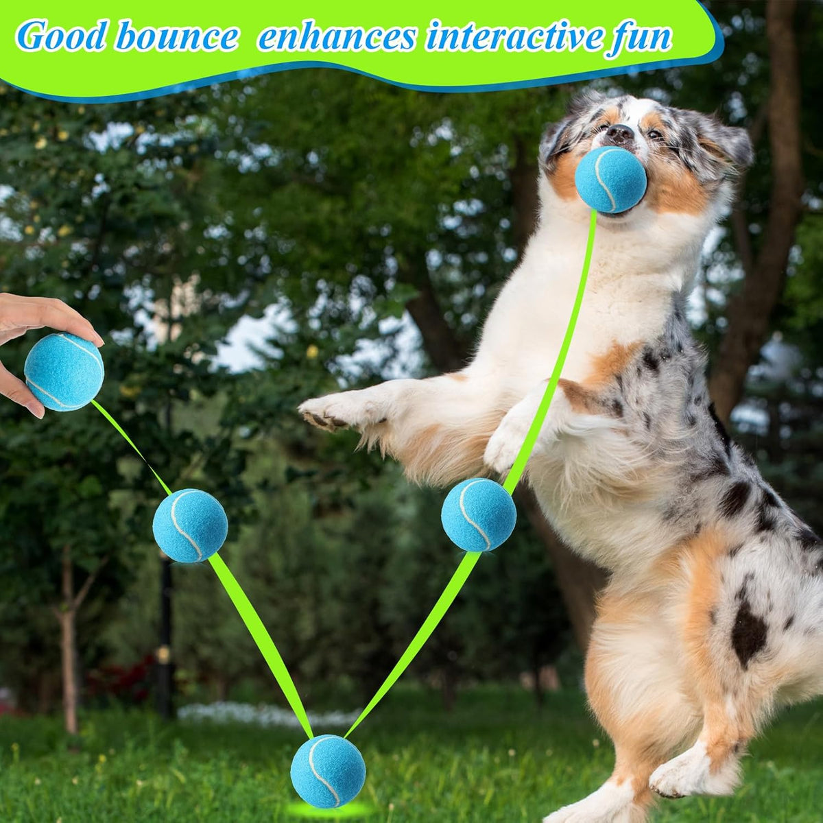 Skylety 40 Pcs 2.5 inch Squeaky Tennis Balls Bulk for Dogs Bouncy Floatable Tennis Balls Dog